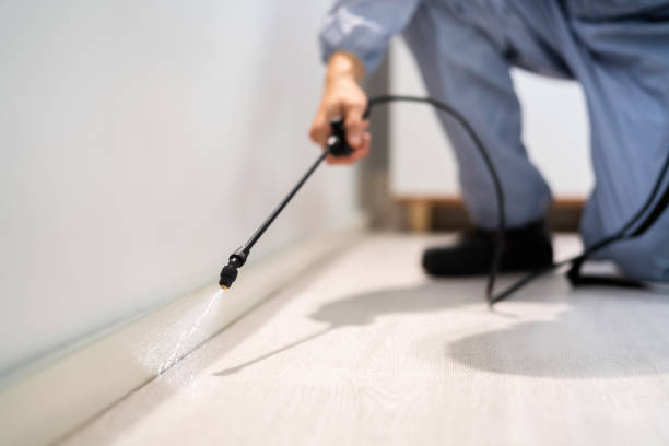 Licensed Pest Control service in Luther, OK - Show Me Pest Control