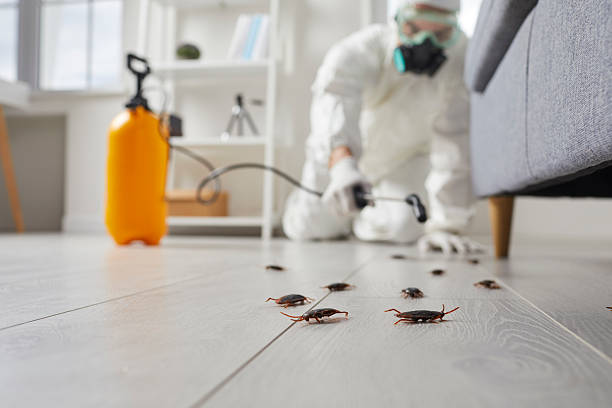 Commercial Rodent Management in Luther